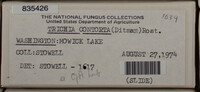 Image Associated With the Occurence